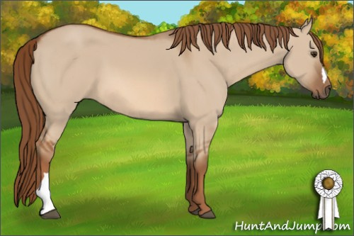 Horse Color: Liver Red Dun 