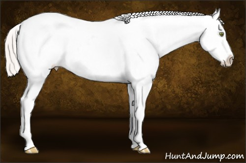 Horse Color: Silver Amber Champagne Dun Sabino Splash Frame Blanket 