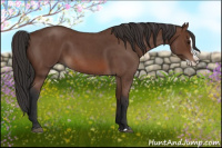Horse Color:Bay Roan Splash
