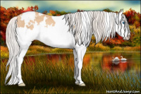 Horse Color:White Spotted Silver Amber Champagne Splash Rabicano 