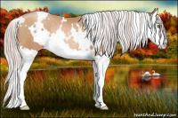 Horse Color:White Spotted Silver Bay Pearl Splash Rabicano