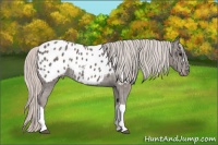 Horse Color:Silver Black Blanket 