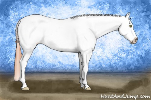 Horse Color: Amber Champagne Varnish 