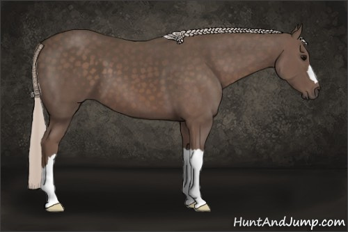 Horse Color: Silver Black 