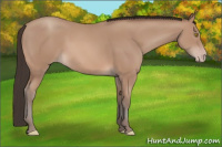Horse Color:Sable Champagne 