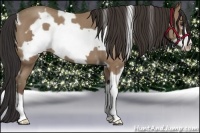 Horse Color:White Spotted Classic Champagne Roan Frame