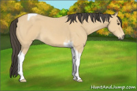 Horse Color:Buckskin Roan Tobiano 