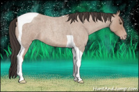 Horse Color:Classic Champagne Roan Tobiano 