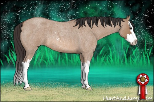 Horse Color: Bay Roan Dun Sabino Splash 