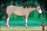 Horse Color:Bay Roan Dun Sabino Splash 