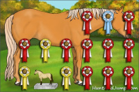 Horse Color:Gray Palomino