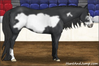 Horse Color:Black Frame 