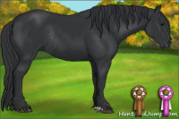 Horse Color:Black Rabicano 
