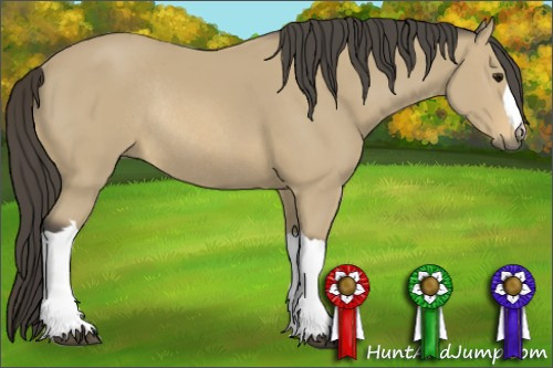 Horse Color: Buckskin Rabicano 