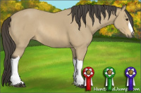 Horse Color:Buckskin Rabicano 