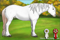 Horse Color:Black Snowcap 