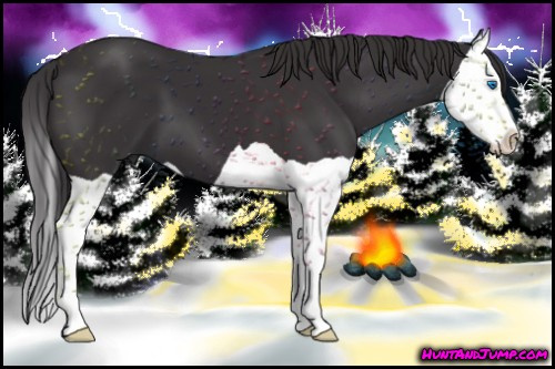 Horse Color: Smoky Black Splash 