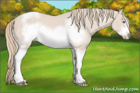 Horse Color:Smoky Creme Sabino Tobiano Frame Rabicano 