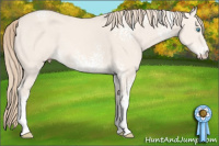 Horse Color:White Spotted Perlino Dun 