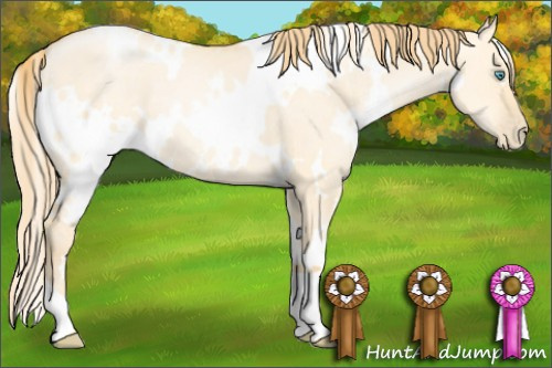 Horse Color: White Spotted Buckskin Pearl Dun 