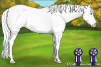 Horse Color:White Spotted Cremello Dun Varnish 