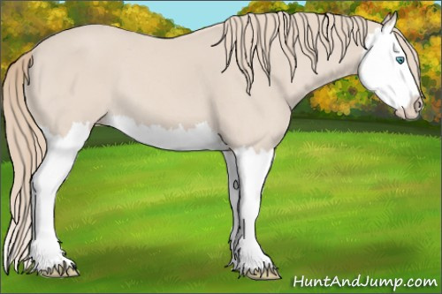 Horse Color: Smoky Creme Splash 