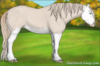 Horse Color:Smoky Creme Splash 