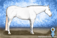 Horse Color:Gold Champagne Tobiano Frame Appaloosa 