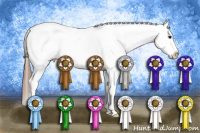 Horse Color:Bay Roan Appaloosa 