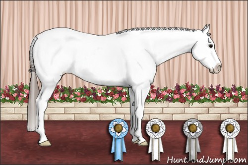 Horse Color: Blue Roan Snowcap 