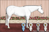 Horse Color:Blue Roan Snowcap 