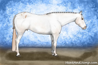 Horse Color:Chestnut Sabino Frame Blanket 