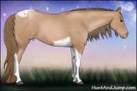 Horse Color:Black Pearl Tobiano 