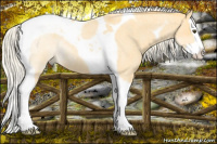 Horse Color:Palomino Roan Dun Splash Tobiano 