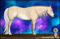 Horse Color:Silver Amber Cream Champagne Roan Dun Sabino Splash Frame 