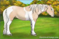 Horse Color:Palomino Pearl Tobiano
