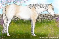 Horse Color:White Spotted Silver Buckskin Roan Dun 