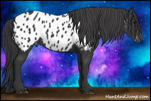 Horse Color: Brown Near Leopard 