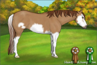 Horse Color:Gray Red Dun Roan Splash Frame