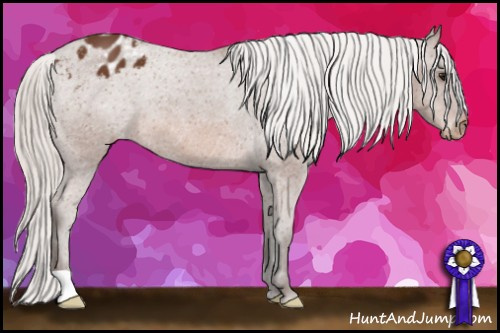 Horse Color: Silver Bay Blanket 