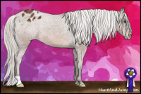 Horse Color:Silver Bay Appaloosa 