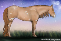 Horse Color:White Spotted Bay Pearl 