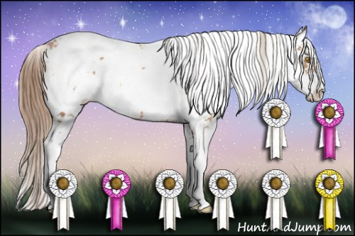 Horse Color: Brown Pearl Sabino 