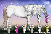 Horse Color:Brown Pearl Sabino 