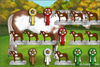 Horse Color:Silver Bay Sabino Frame 
