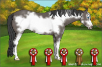 Horse Color:Black Sabino Frame