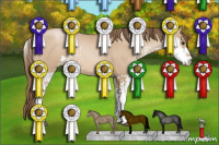 Horse Color:Grullo Pearl Sabino 
