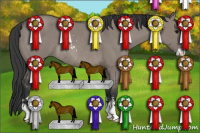 Horse Color:Grullo Sabino Rabicano