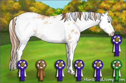 Horse Color: Bay Pearl Dun Sabino 