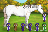 Horse Color:Bay Pearl Dun Sabino 